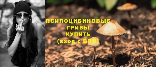 PSILOCYBIN Алексеевка