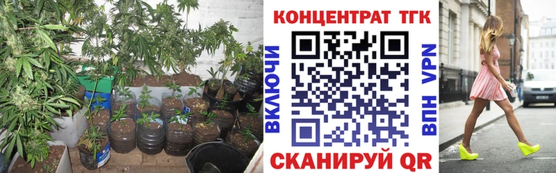 Дистиллят ТГК жижа  ОМГ ОМГ как войти  Кола 