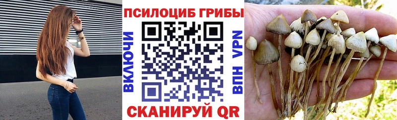 hydra ссылка  Кола  Псилоцибиновые грибы ЛСД 