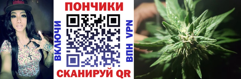 Каннабис планчик  как найти наркотики  Кола 